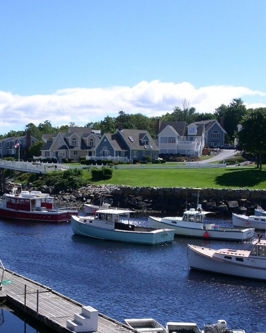 Harbor scene with boats and houses under a blue sky.