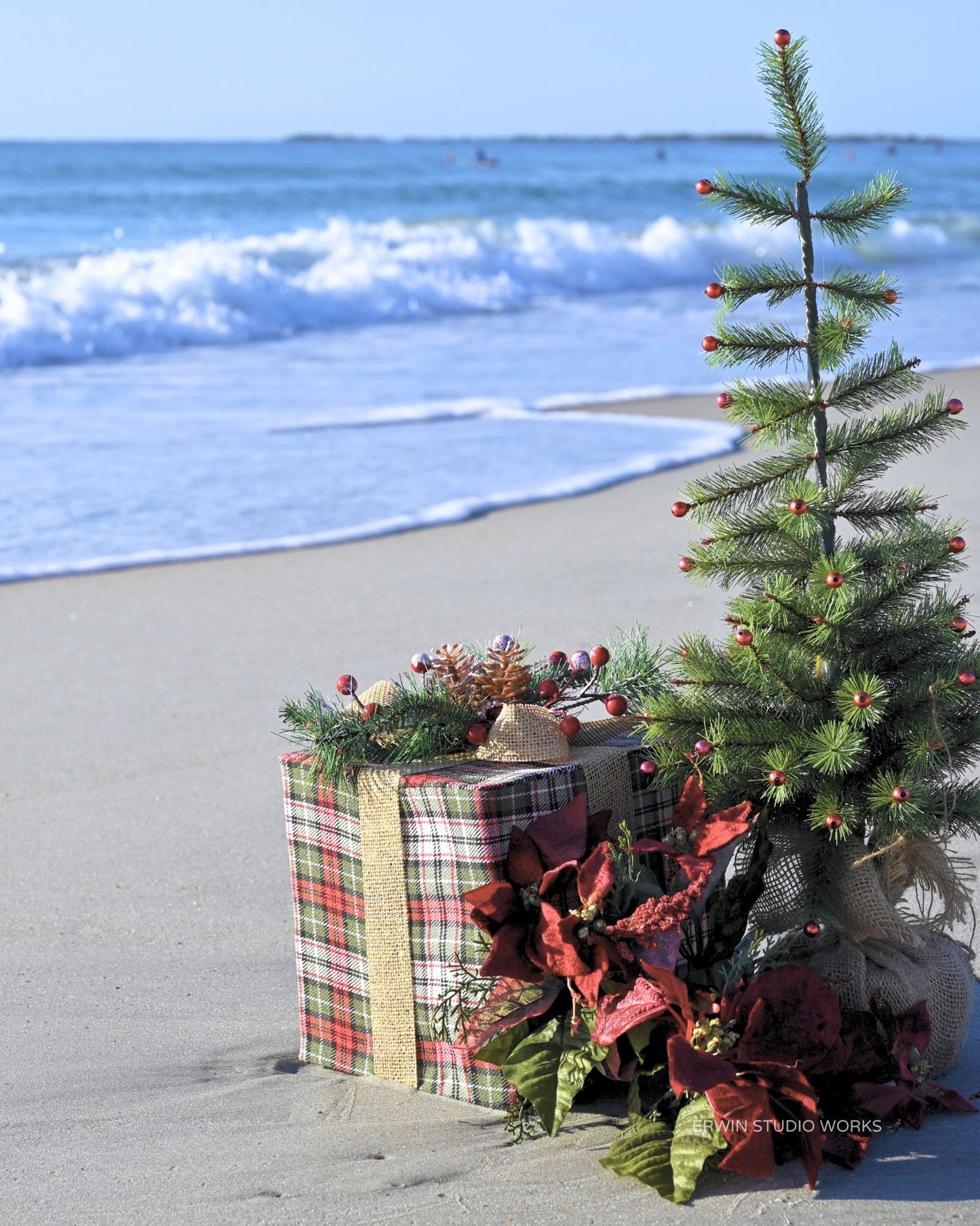 HOLIDAY 2025 Notecard Set – Pack of 4 TIDINGS BY THE SEA