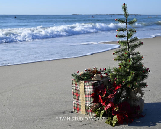 HOLIDAY 2025 Notecard Set – Pack of 4 TIDINGS BY THE SEA